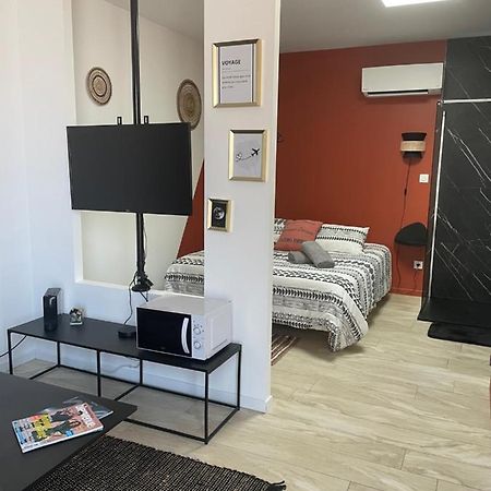 Studio Cosy Tt Confort Proche Aeroport Colombier-Saugnieu Ngoại thất bức ảnh