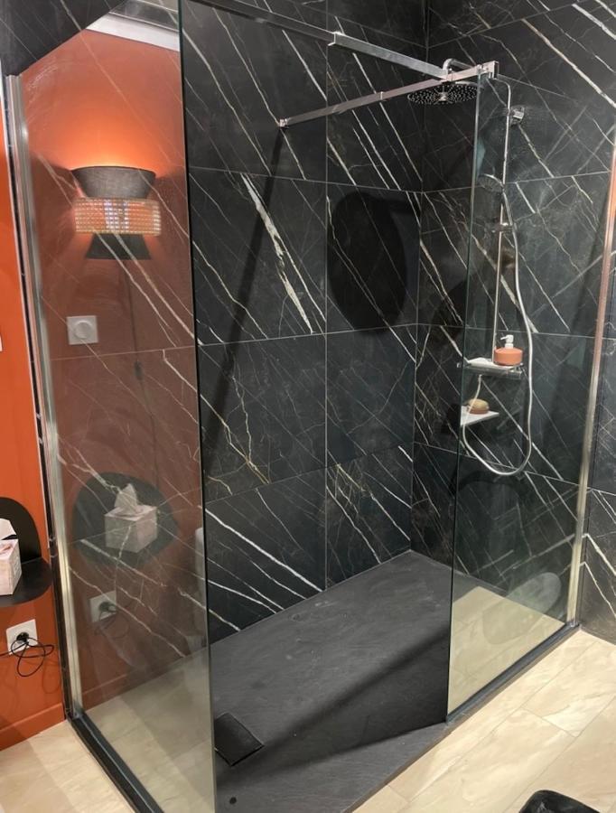 Studio Cosy Tt Confort Proche Aeroport Colombier-Saugnieu Ngoại thất bức ảnh